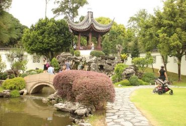 Người dân tham quan, dã ngoại tại Vườn Trung Hoa