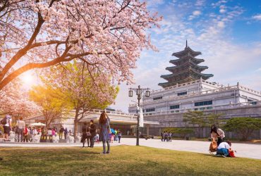 Chuyến đi Hàn Quốc mùa xuân giúp tinh thần bạn thoải mái
