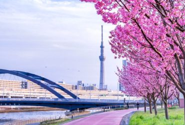 Tòa tháp Tokyo Skytree