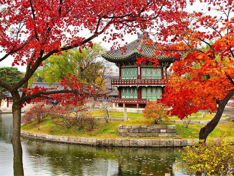 Cung điện Gyeongbokgung - Sắc thu rực rỡ 